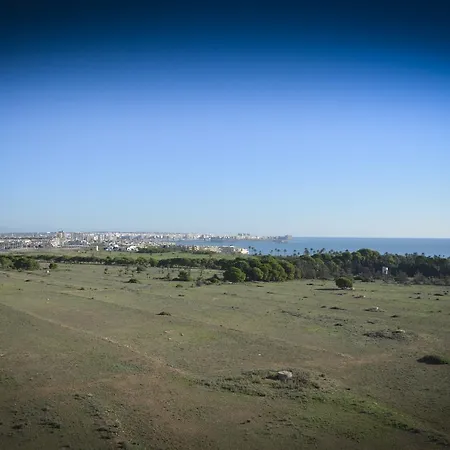 Torrejoven מלון טורבייחה